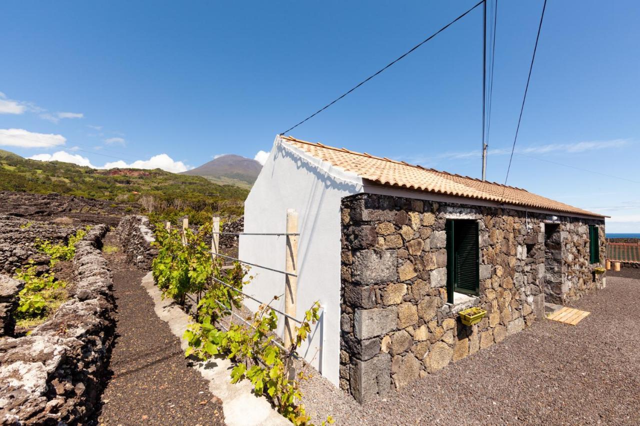 Cantinho Do Sossego Madalena  Exteriér fotografie