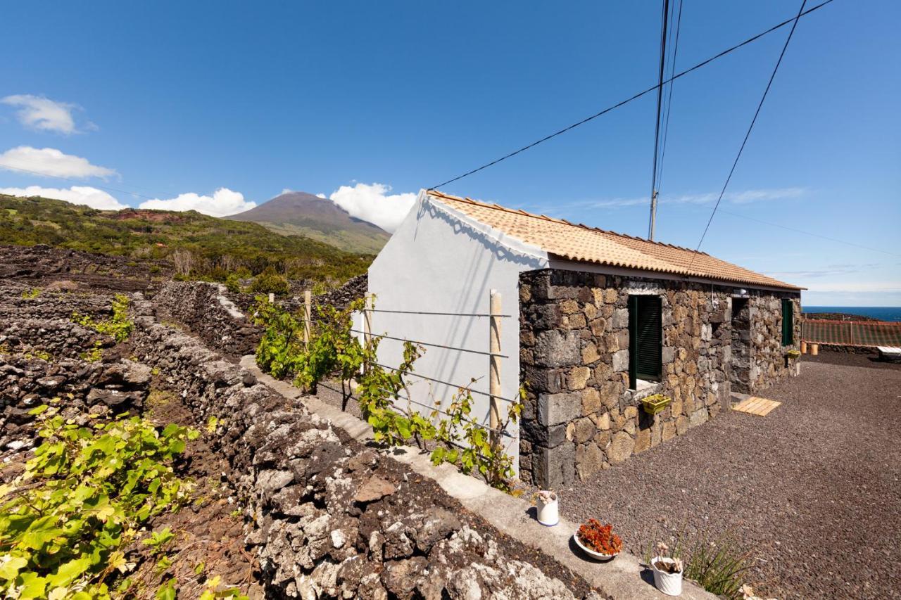 Cantinho Do Sossego Madalena  Exteriér fotografie