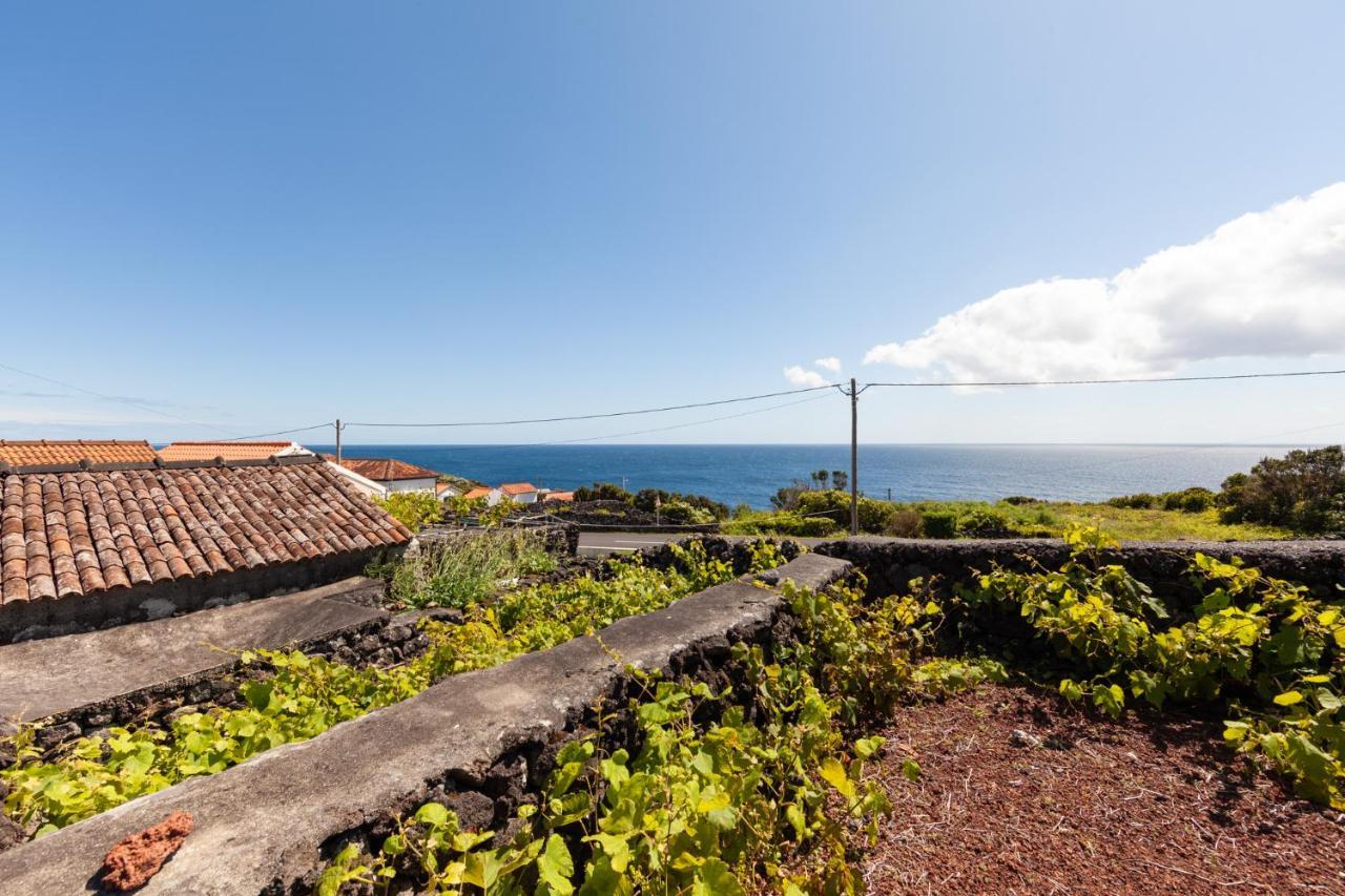 Cantinho Do Sossego Madalena  Exteriér fotografie